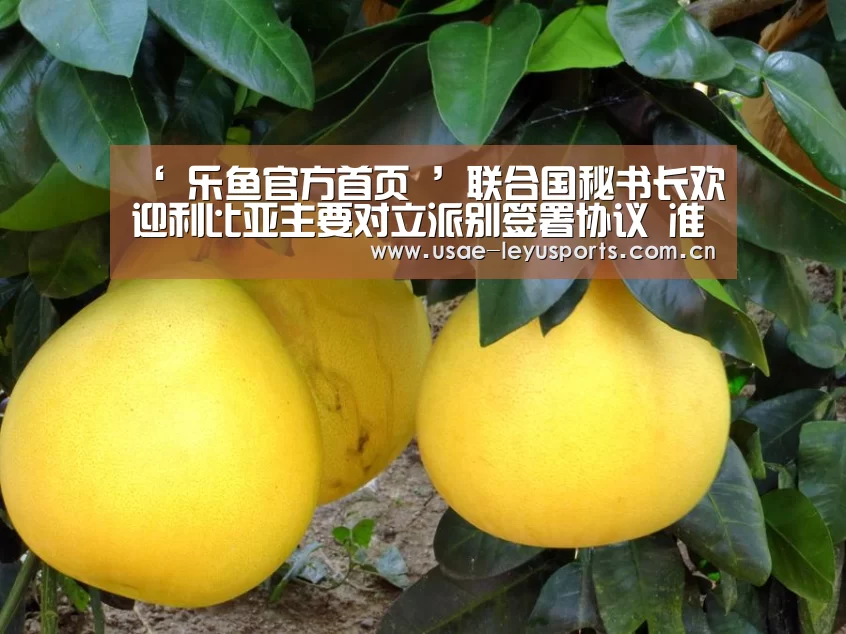 ‘ 乐鱼官方首页 ’联合国秘书长欢迎利比亚主要对立派别签署协议 准备举行大选(图4) 登录入口